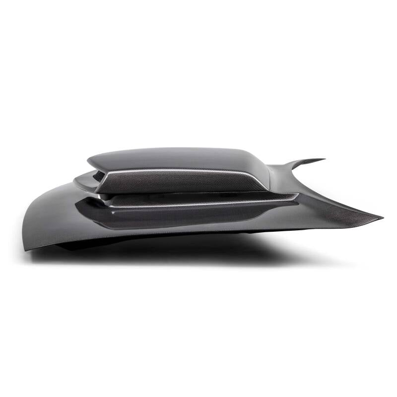 Anderson Composites 15-23 Dodge Challenger Type-HM Carbon Fiber Hood AC-HD15DGCH-HM