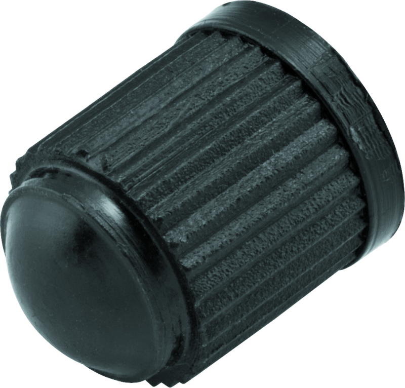 BikeMaster Valve Caps Plastic 100/Pk 151696