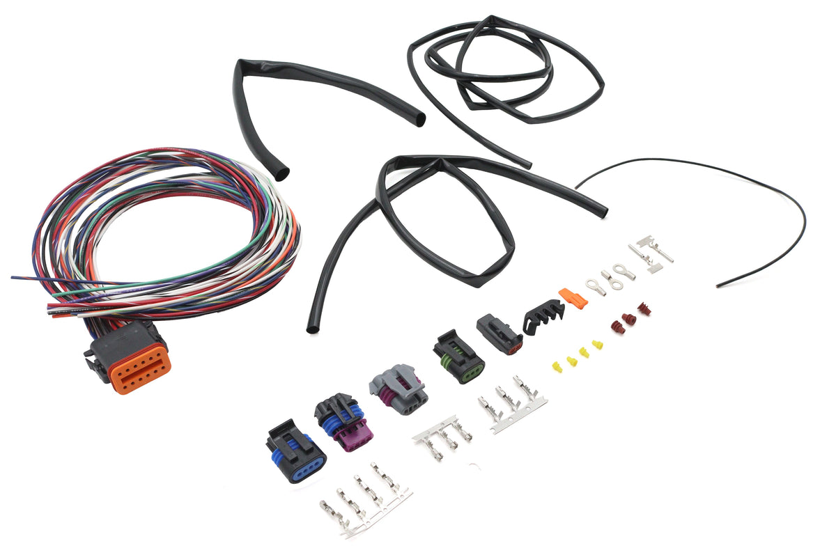 Twin Cam Ignition Harness - NSAIH01