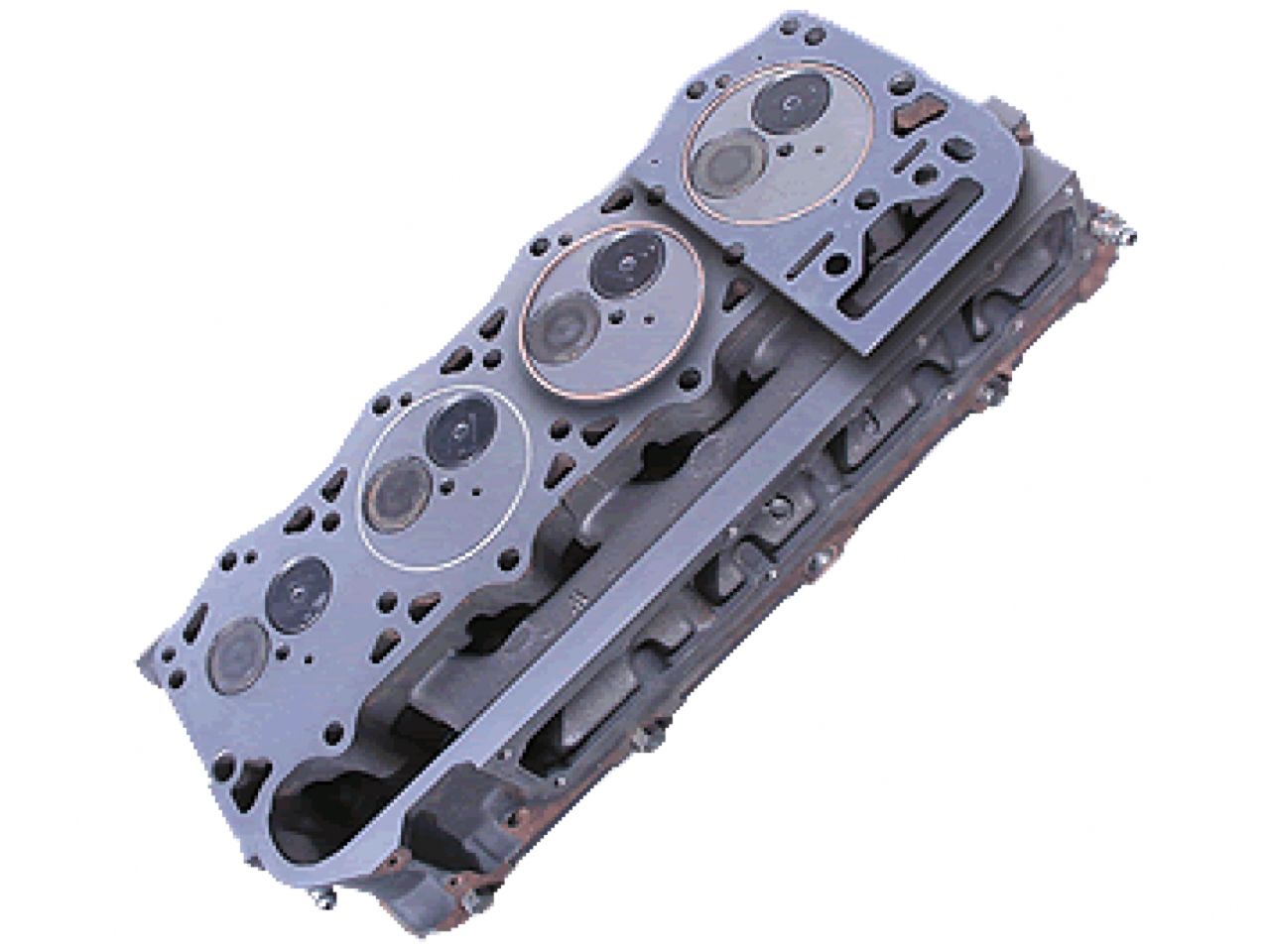 ATS Diesel 03-05 6.0L Ford Powerstroke Fire Ring Kit w/ Gaskets