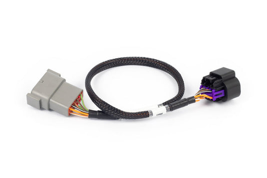 797 Performance, LLC Haltech NEXUS Rebel LS 8-Pin DBW Adaptor - View 2