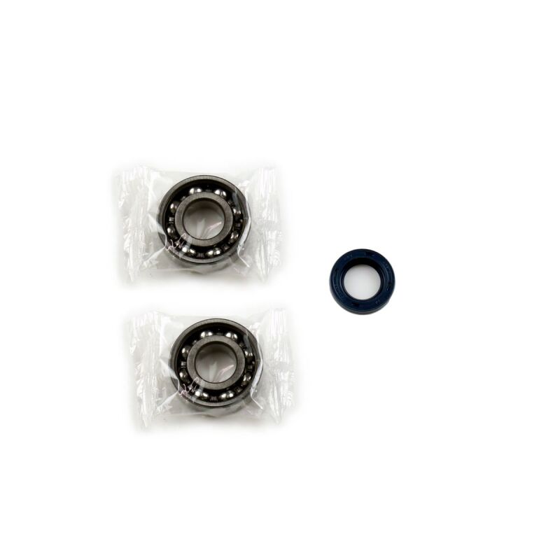 Athena 73-81 Piaggio 50 Crankshaft Bearing & Oil Seal Rebuilding Kit P400480444002
