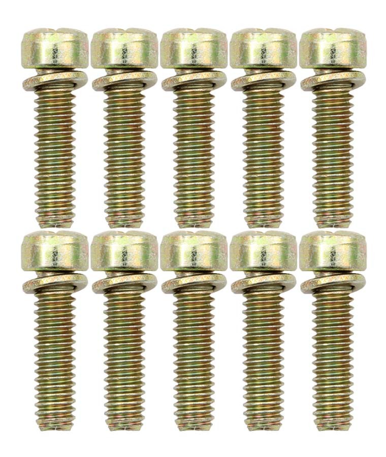 Throttle Body Screws (10pk) - 6224X