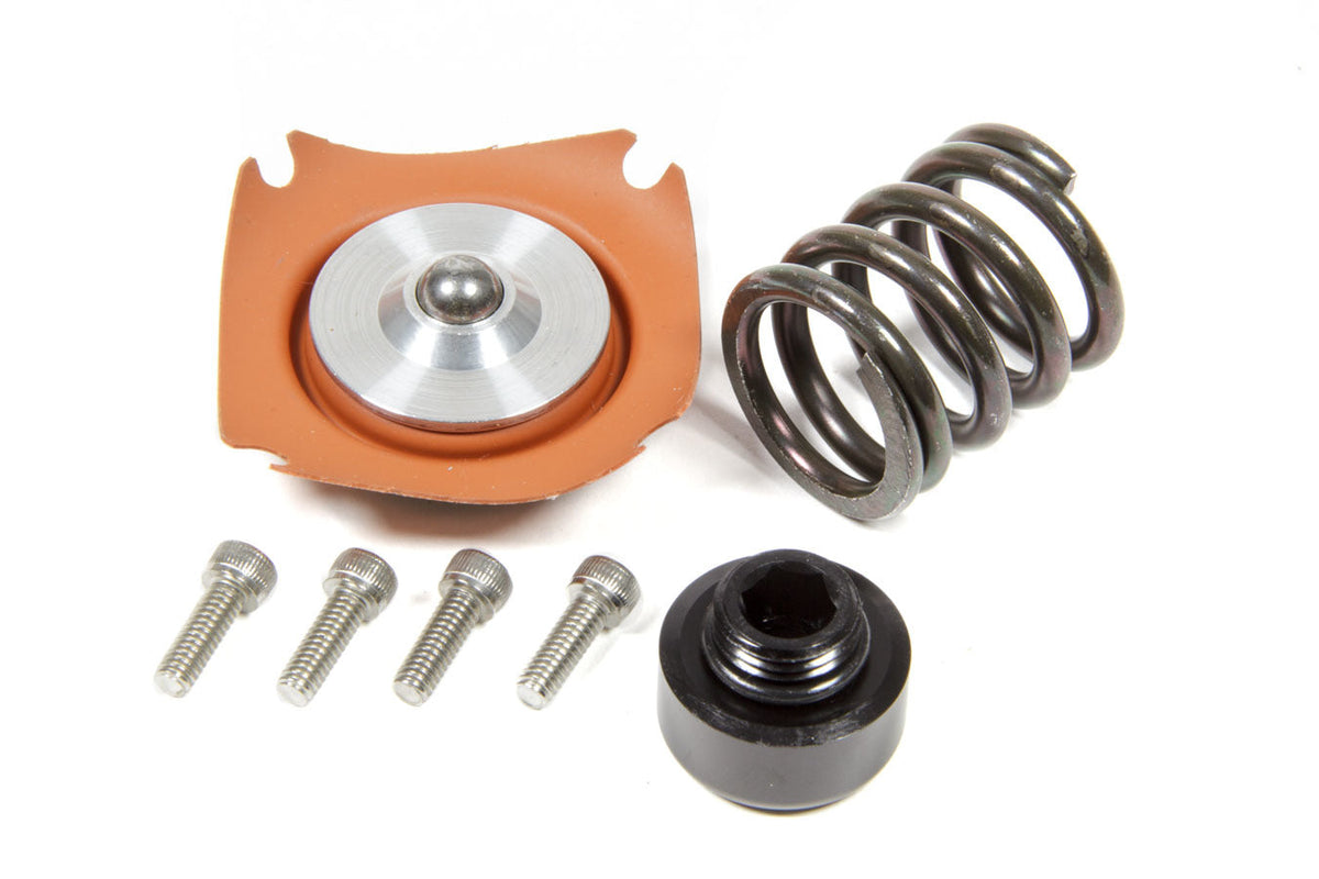 Rebuild Kit Regulator - 13015