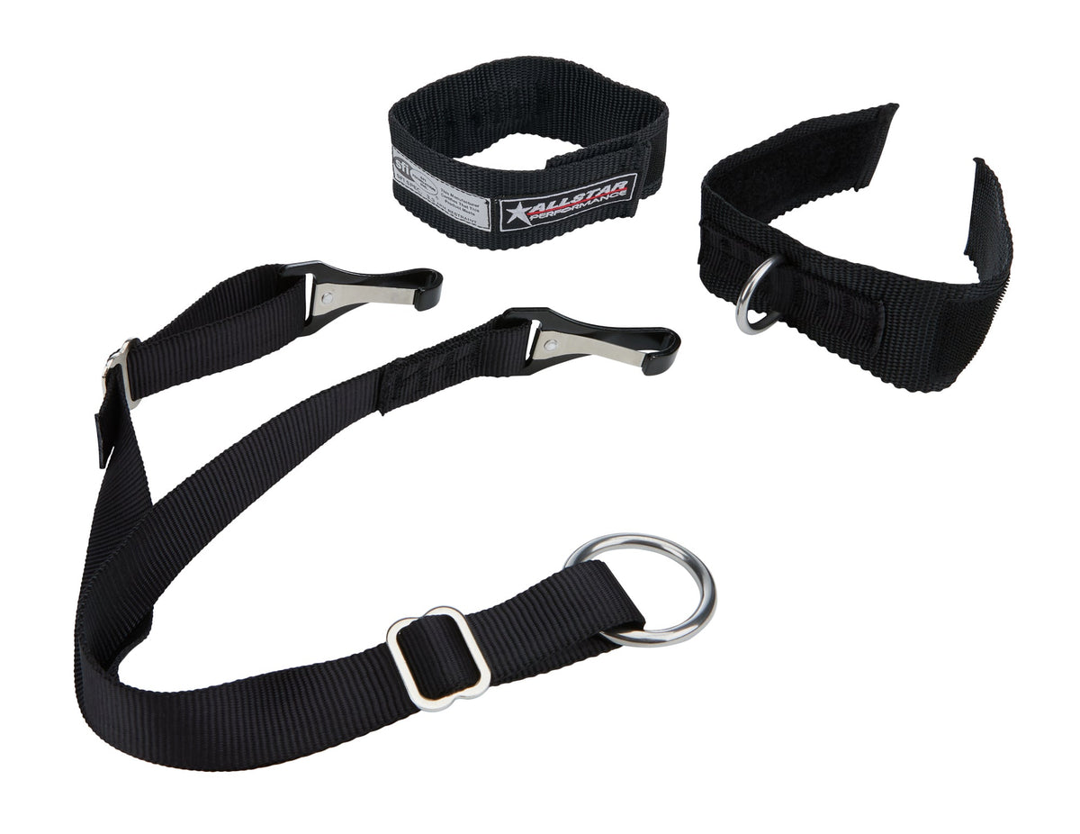 Arm Restraints SFI 3.3 Black Jr - ALL991212