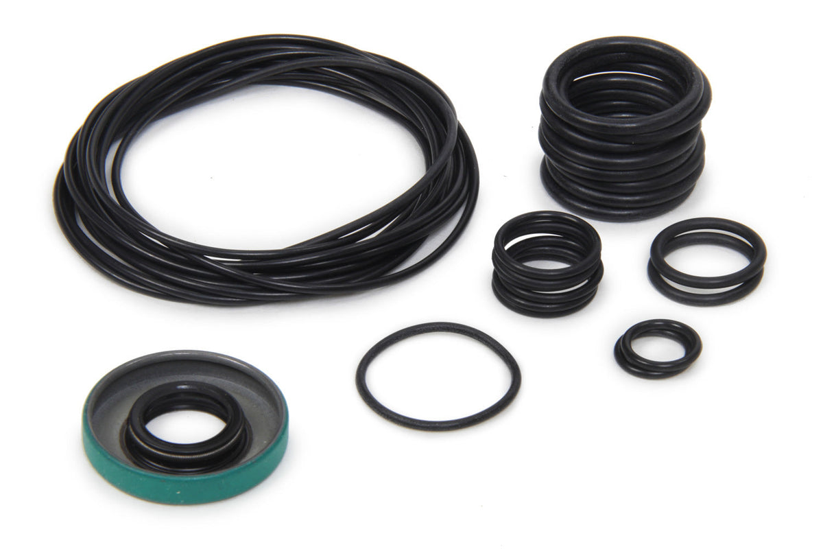 O-Ring Kit For 9017-5B 1.0 Pump - ORK071