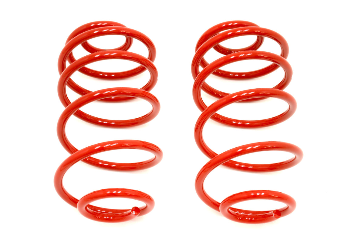 Lowering Springs 2 Rear - SP015R