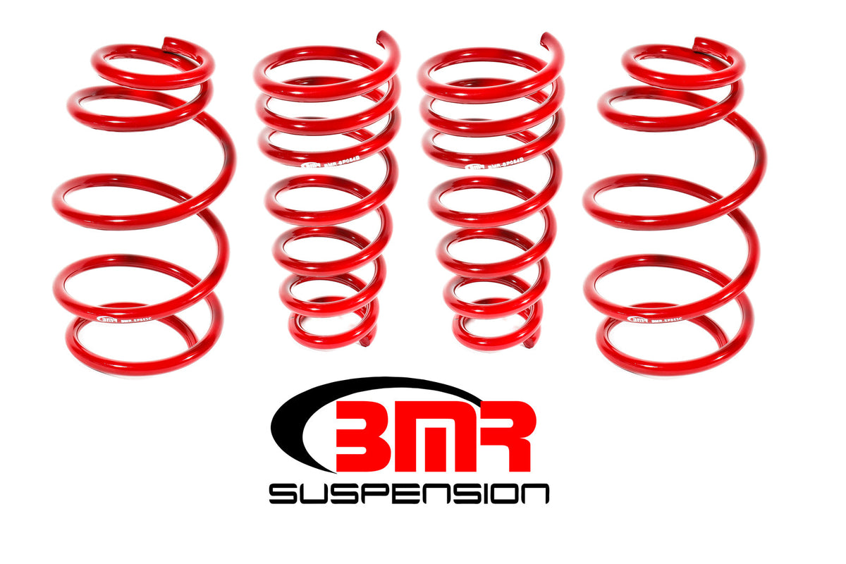 Lowering Spring Kit - SP052R