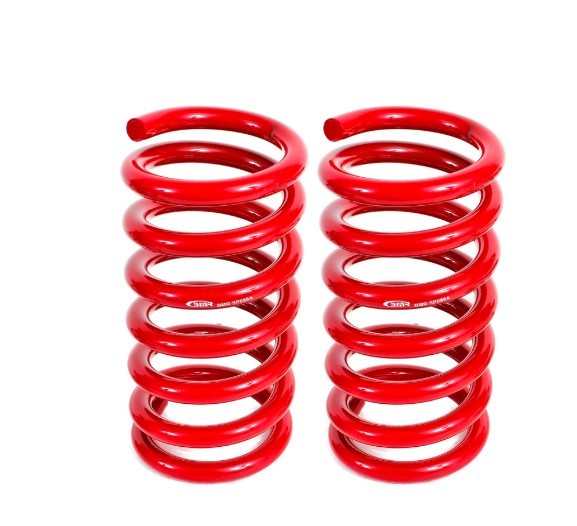 Lowering Springs Rear Drag - SP088R