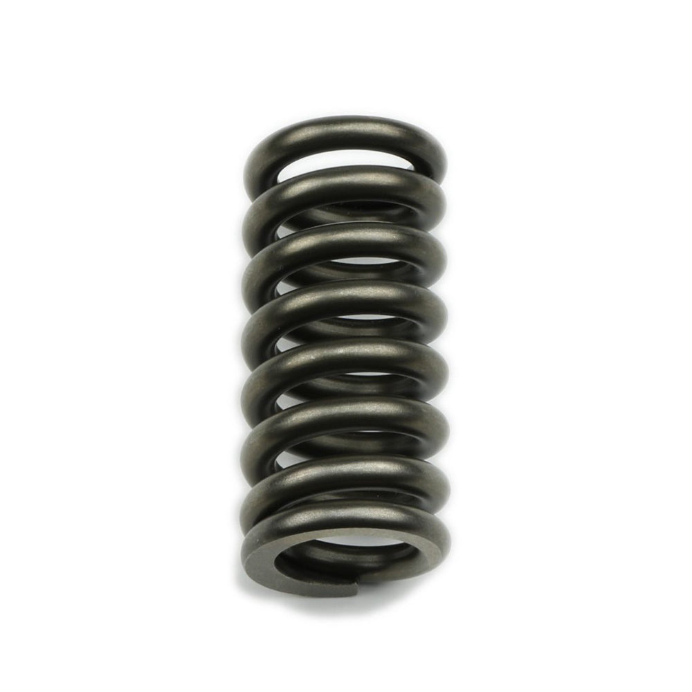 Reverse Servo Spring - COA22043