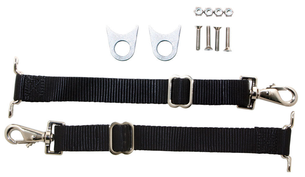 Door Limiter Strap Kit - C4931