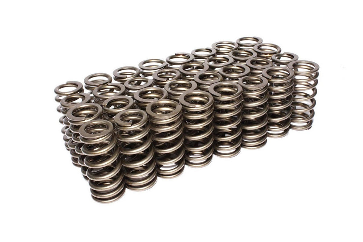 Valve Springs - 2612332