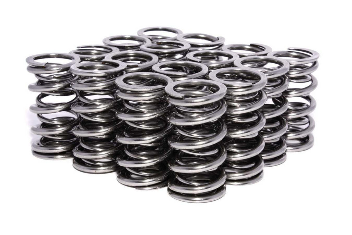 Valve Springs - 2692516