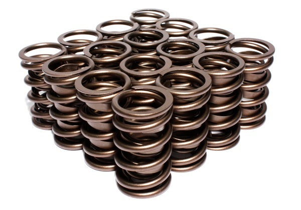 Valve Springs - 2698716