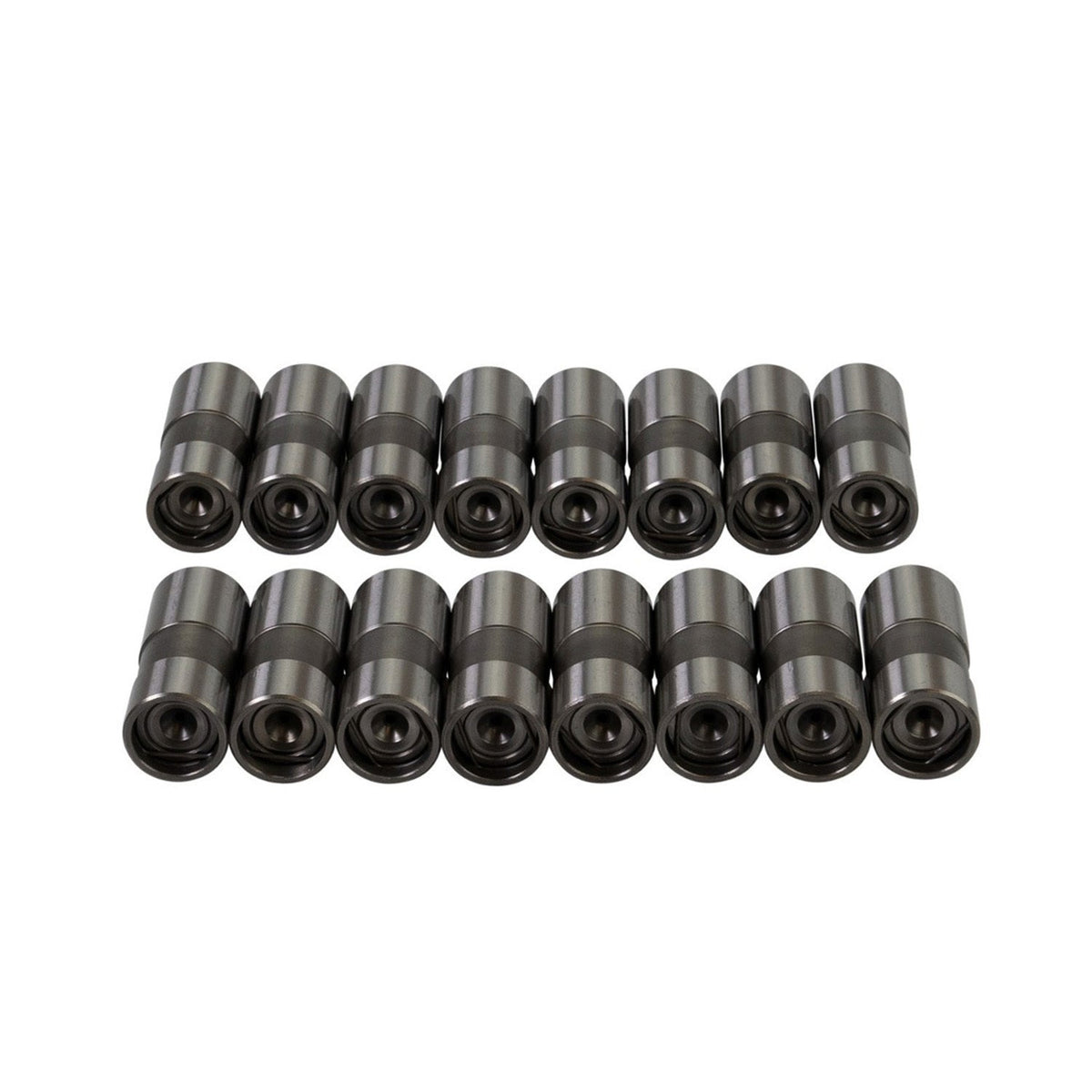 Dlc Hydraulic Lifter - 310103016