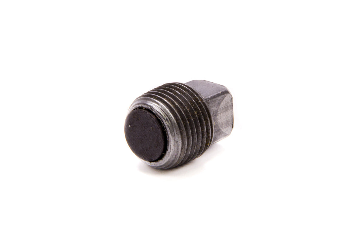 Magnetic 3/8in NPT Drain Plug - RRC1031