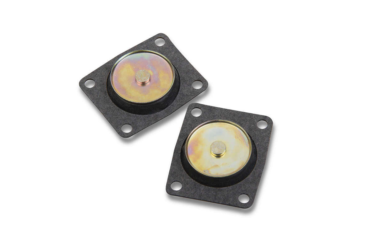 30cc Pump Diaphram (2pk) - 190015