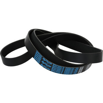 V-ribbed Belt - A080851SC