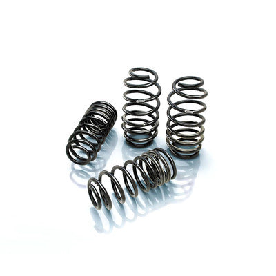 Pro-kit Perf Spgs - 3530140