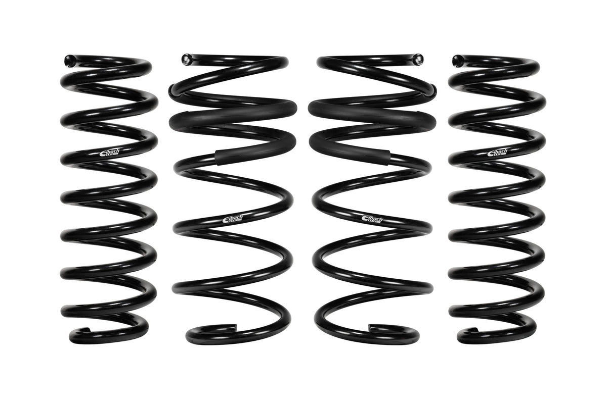 Pro-kit Lowering Springs - E102010040122
