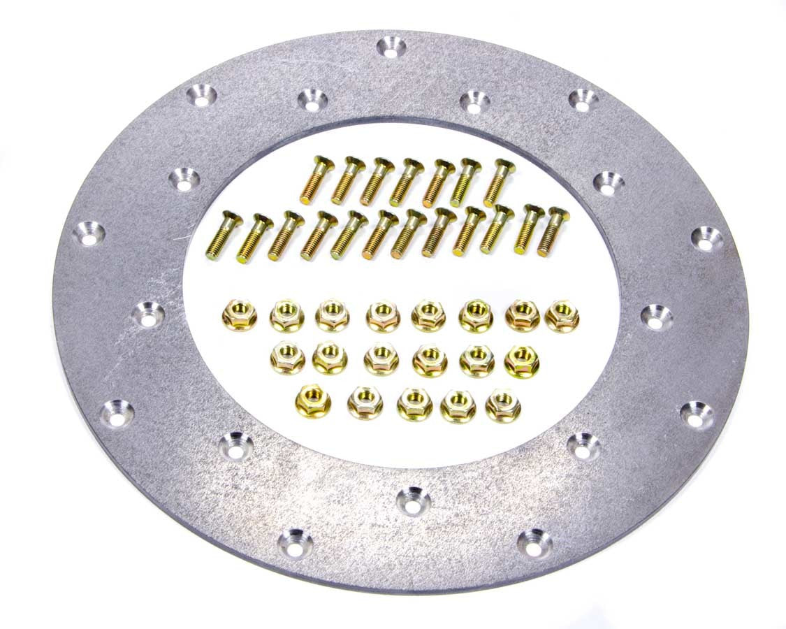 Flywheel Insert Plate - 229501