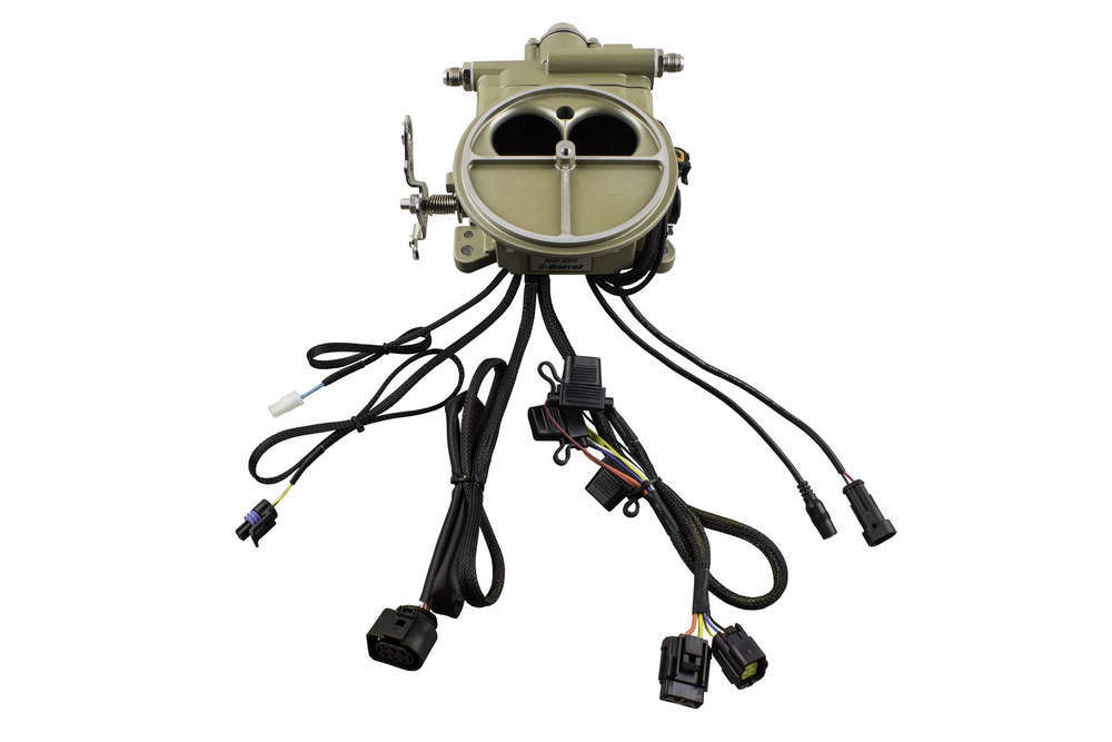 Fuel Injection System - 39001