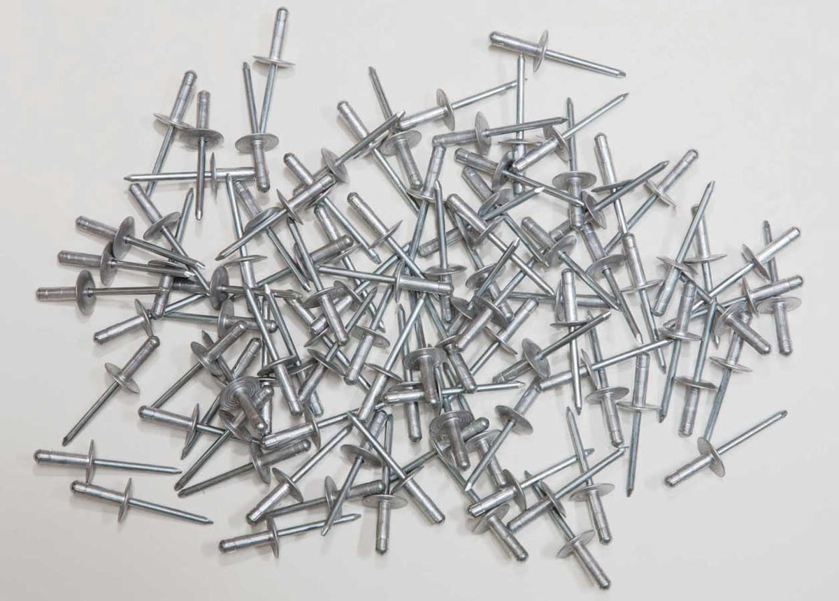 Large Head Rivet Silver 100pc 3/16in - 816100L