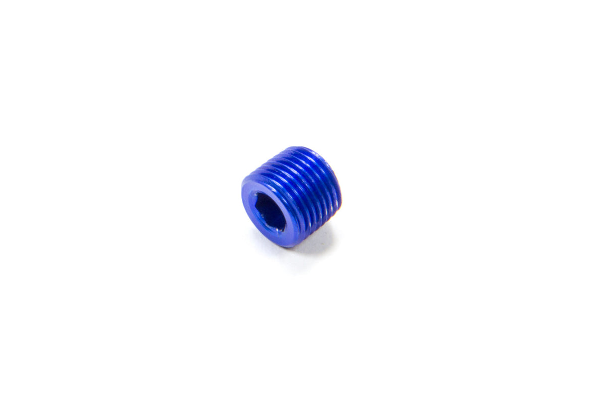 1/8 MPT Allen Pipe Plug - 493202