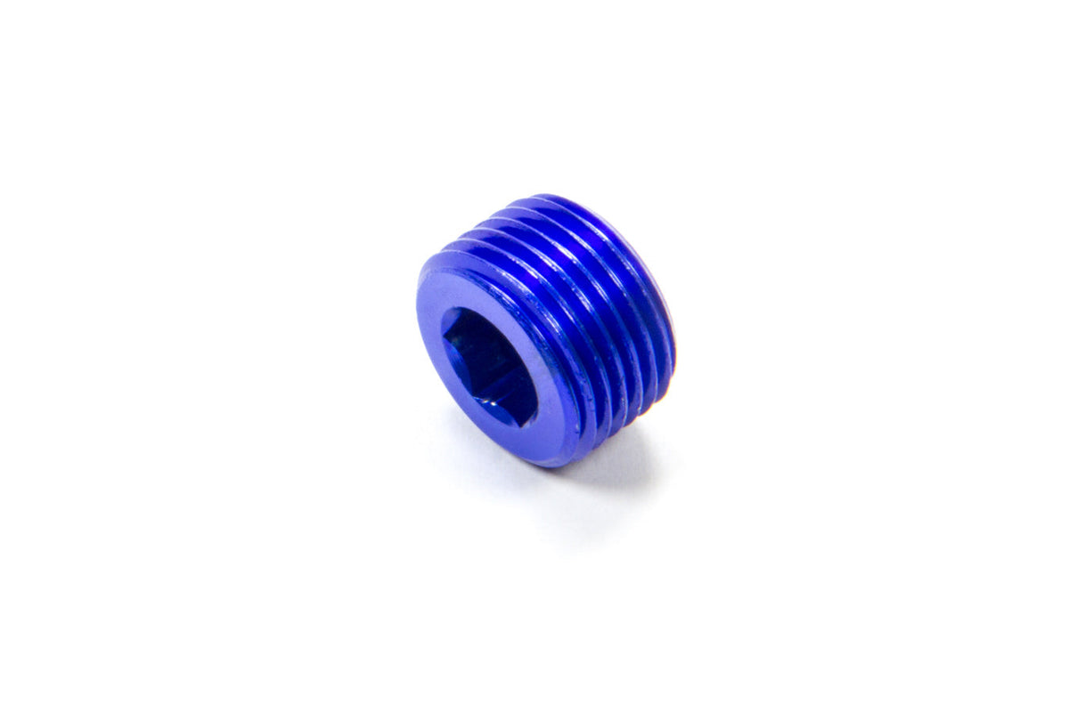 3/8 MPT Allen Pipe Plug - 493204