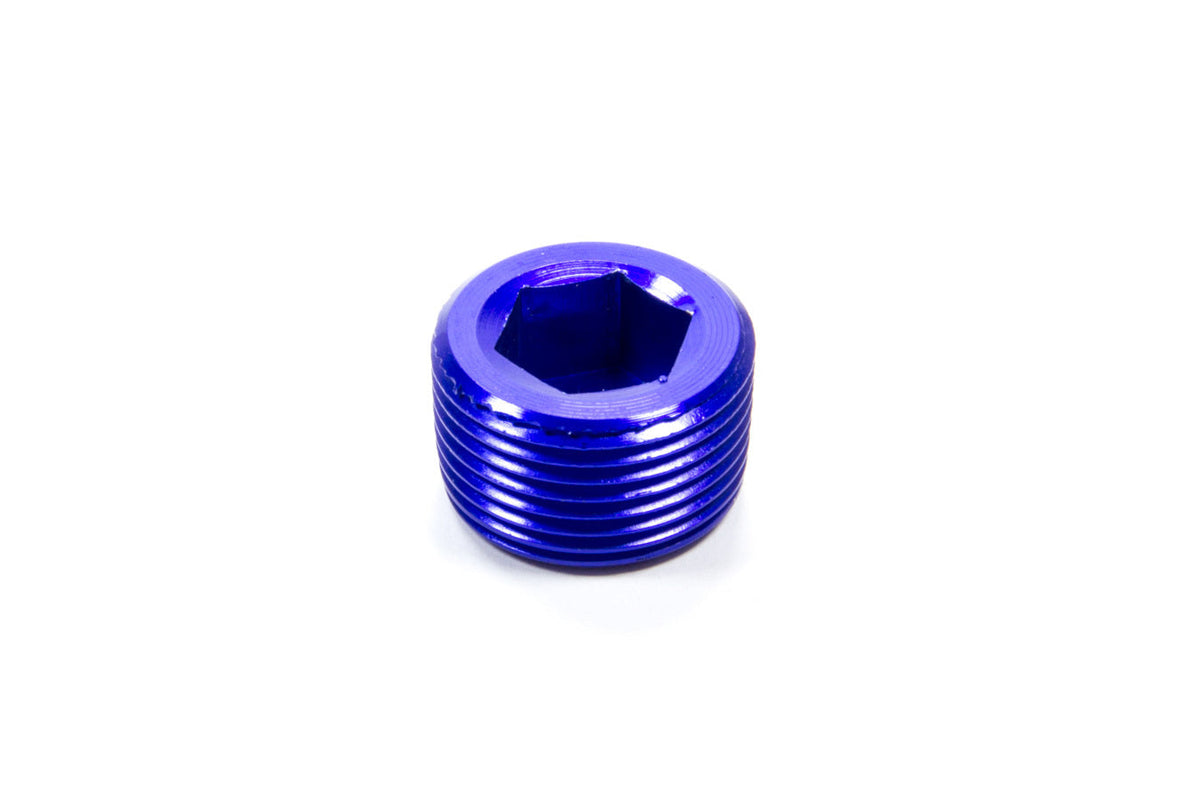 3/4 MPT Allen Pipe Plug - 493206