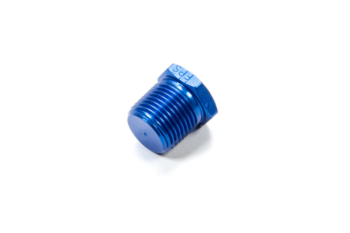 3/8 MPT Hex Pipe Plug - 493303