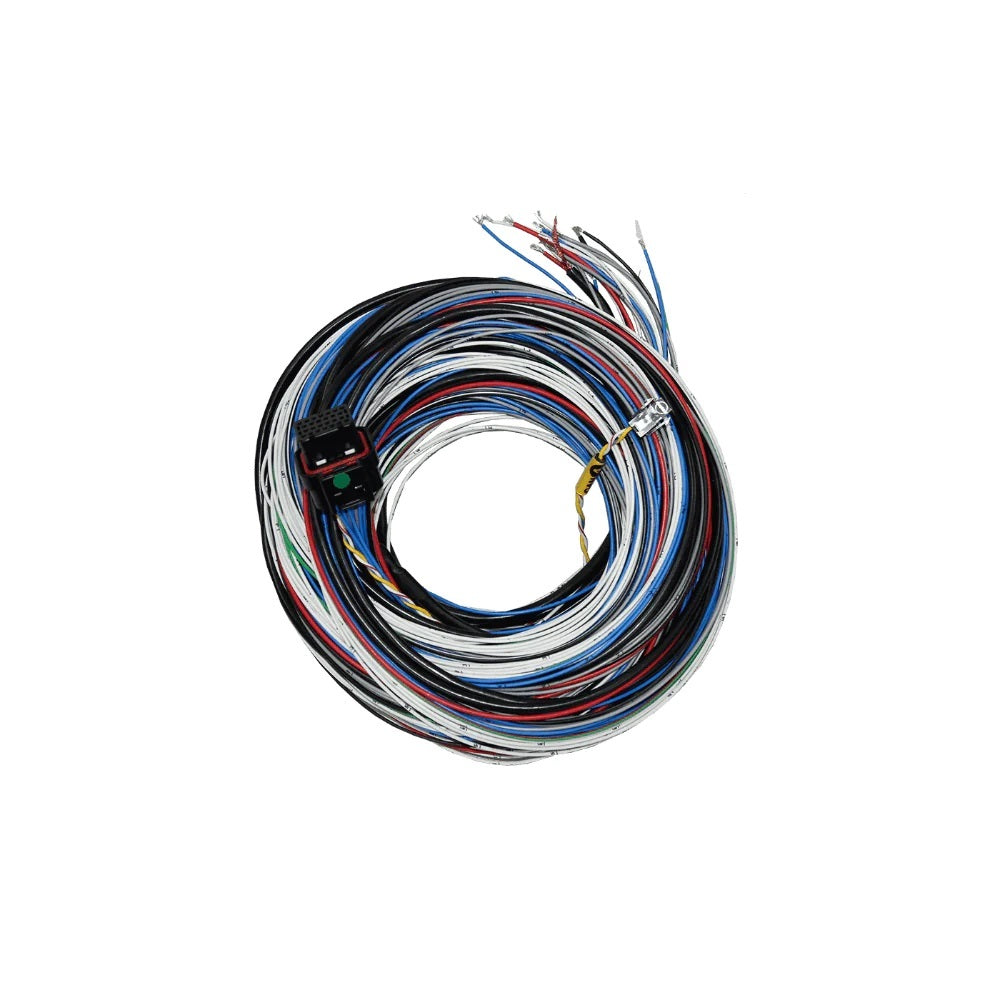 FT450/550 A Harness 10ft - 2001005569