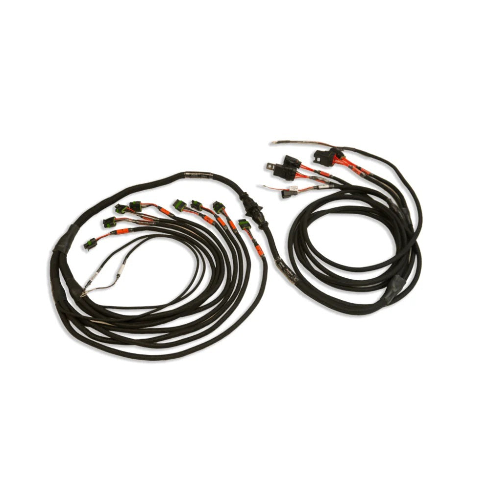 PRO550/600 Ford V8 Smart Coil Harness Complete - 2002110980
