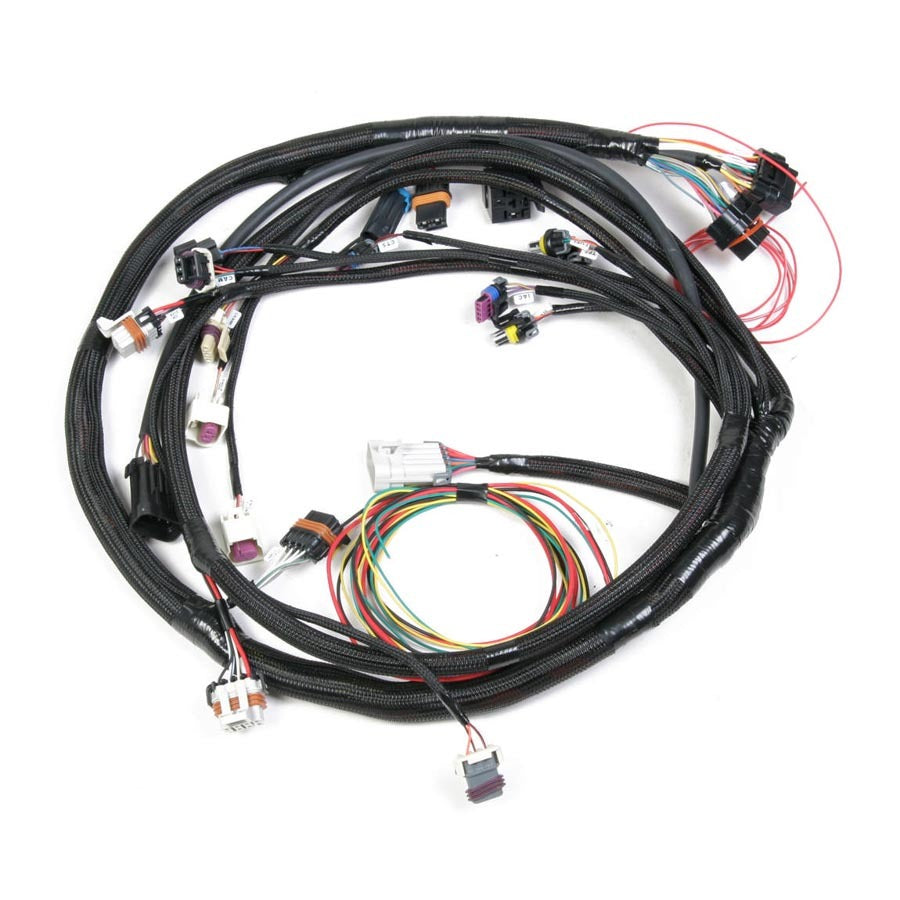 Fuel Injection Wire Harness - 558103