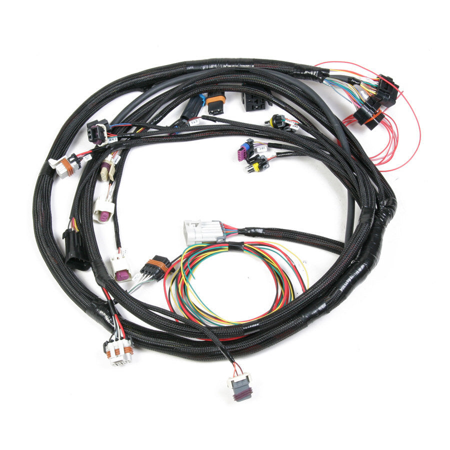 Fuel Injection Wire Harness - 558104