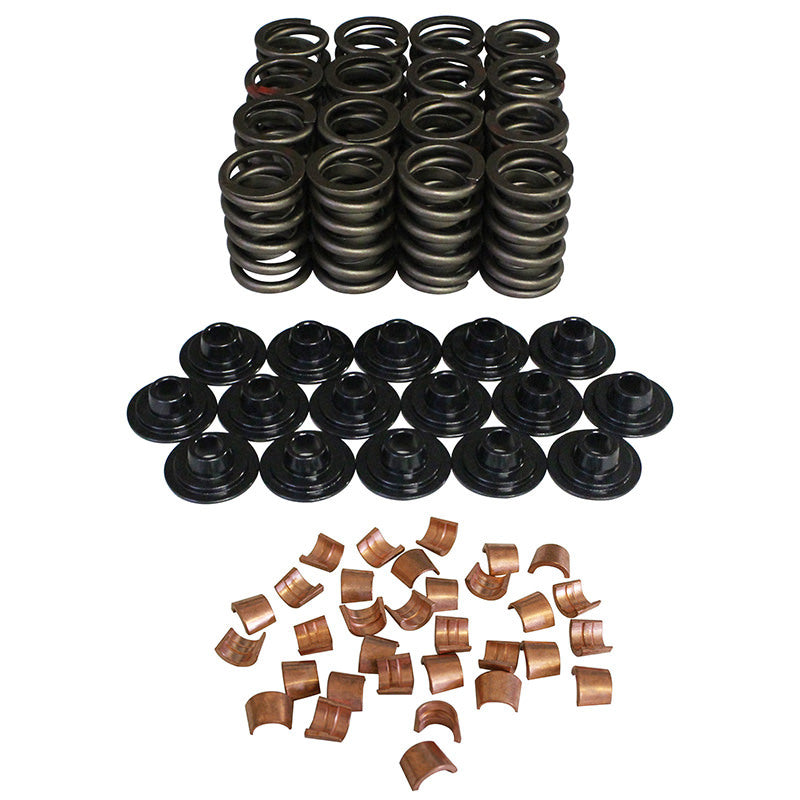 Valve Spring Kit - 98511K31