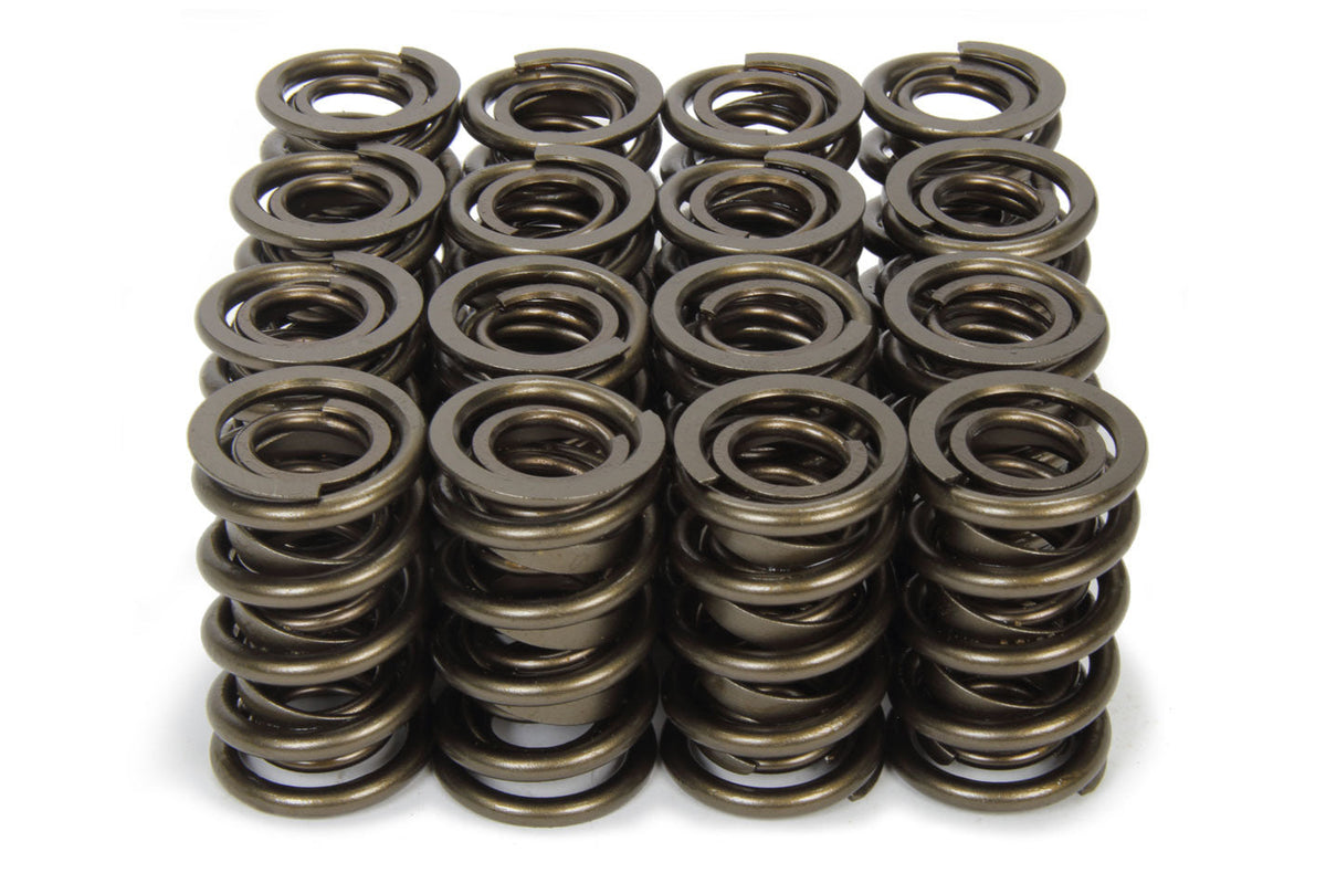 1.570 Valve Springs - 9989RAD