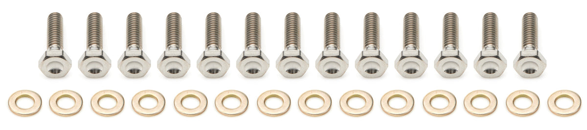 10in Beadlock Bolt Kit Titanium - 10TIEBLKIT