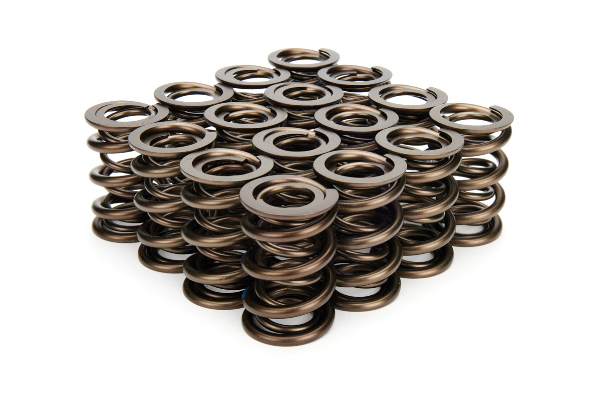 Valve Spring Set - 22142416