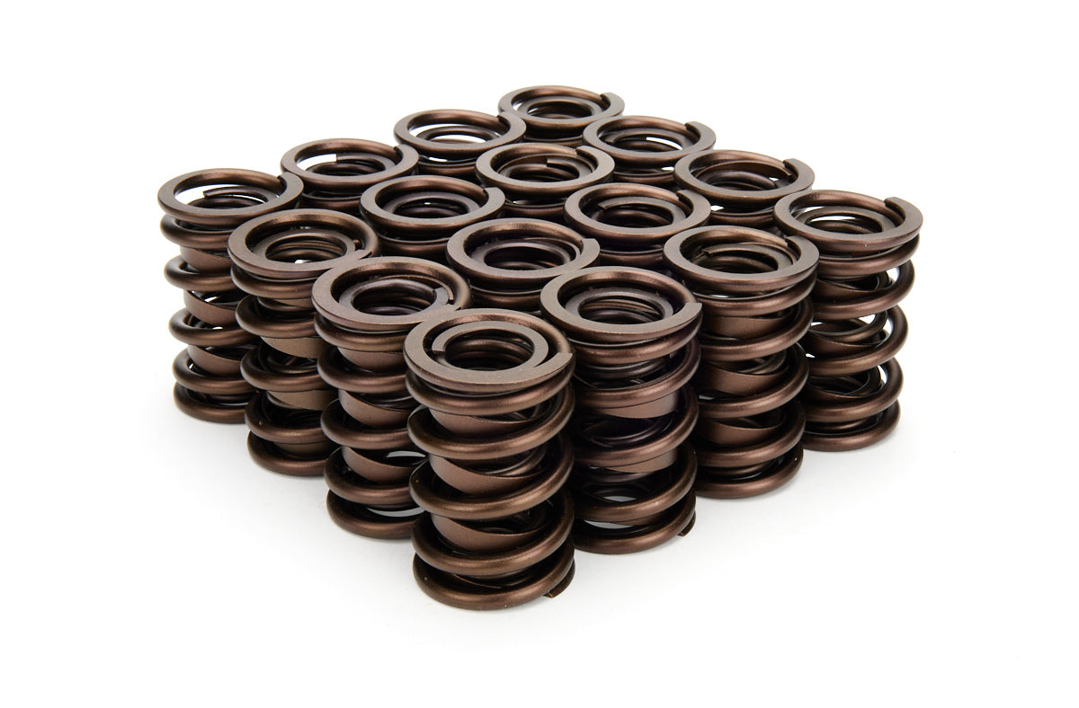 Valve Spring Set - 221440P16