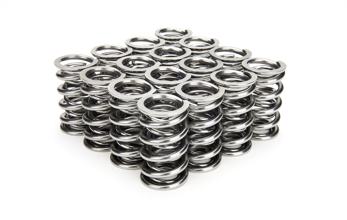 Valve Spring Set - 22144216