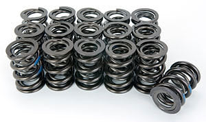 Valve Spring Set - 22144316