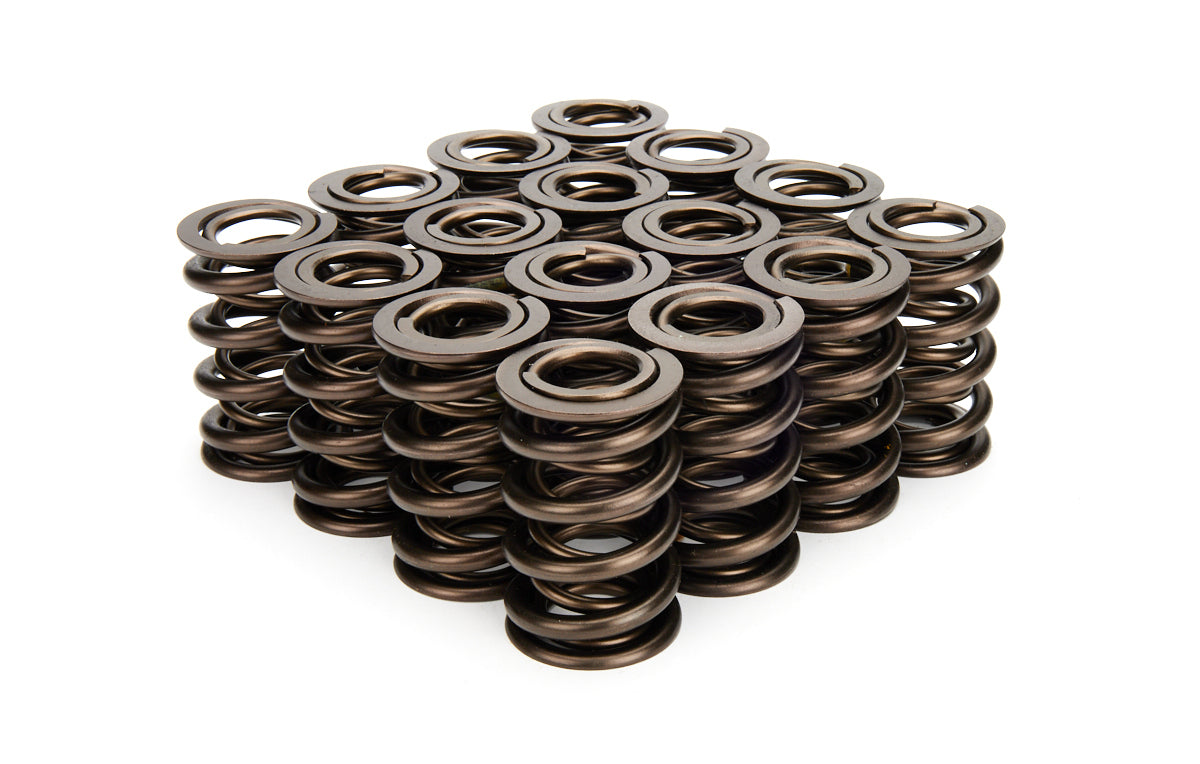 Valve Spring Set - 22144416
