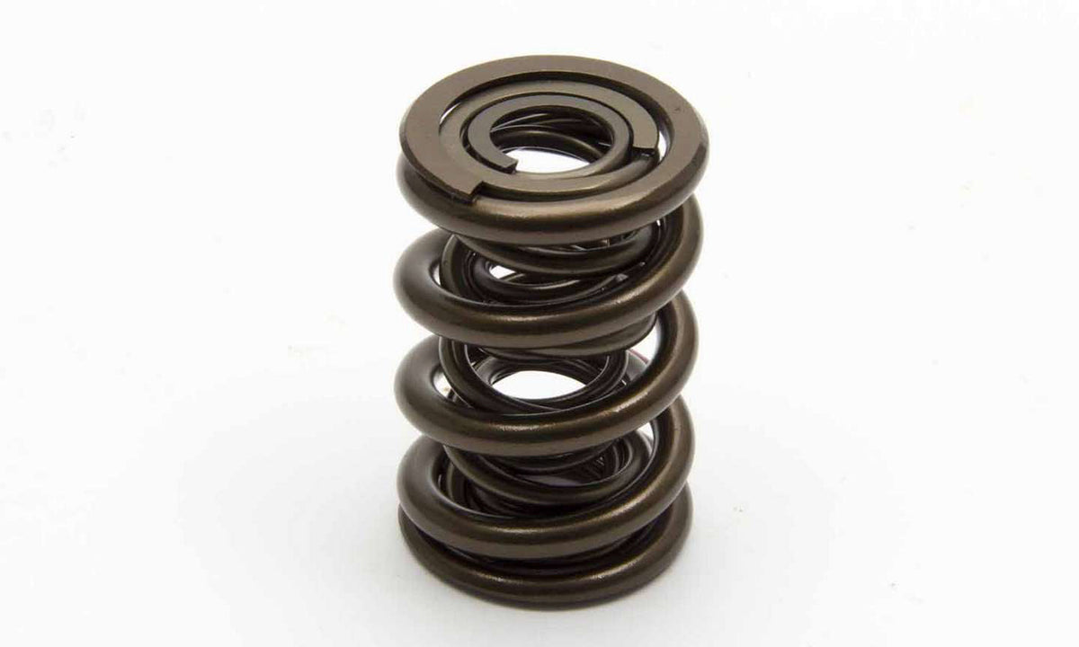 Valve Spring Set - 22144816