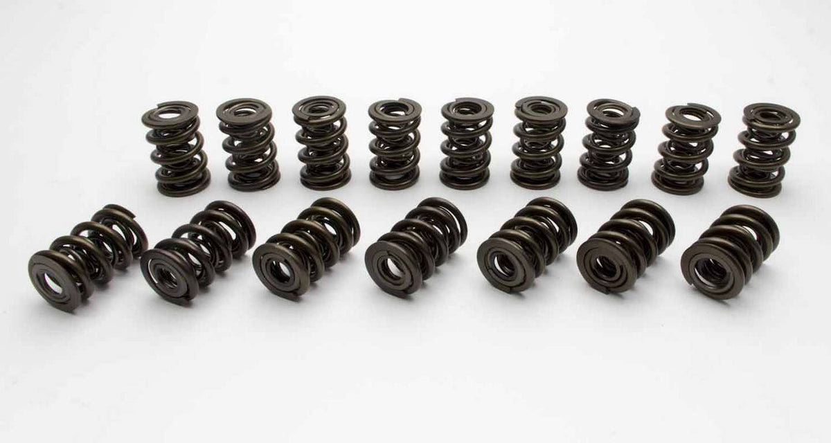 Valve Spring Set - 22145616