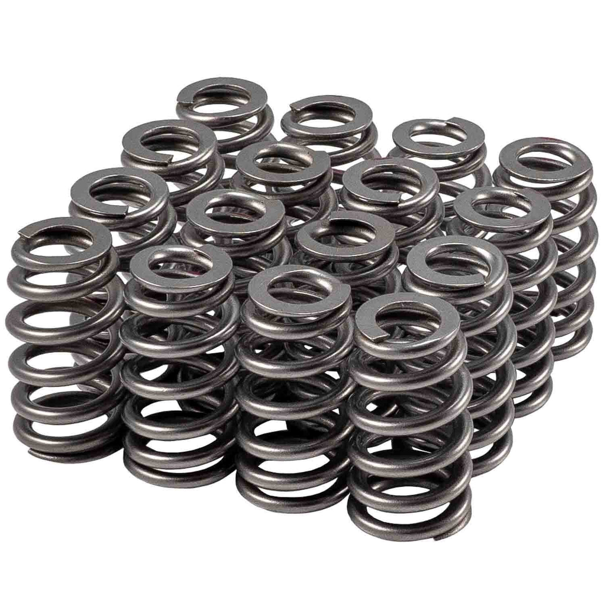 Valve Spring Set - 46121916