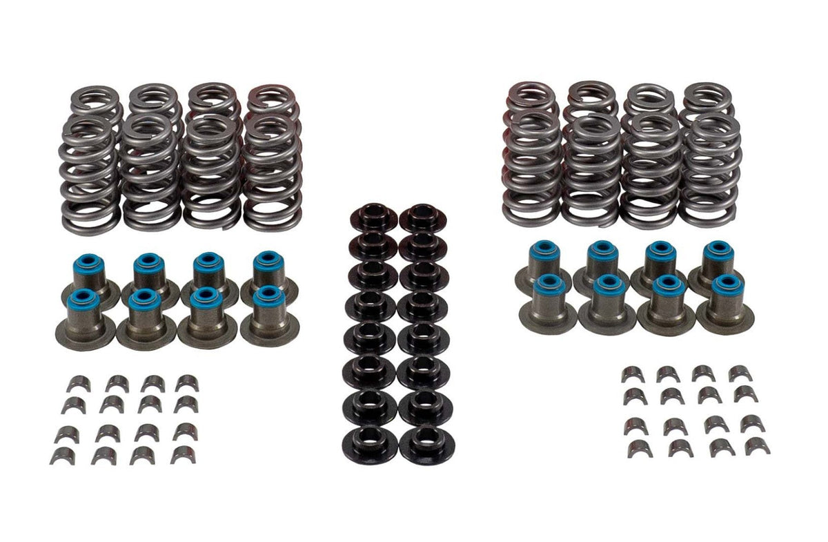 Valve Spring Kit - VSK46652
