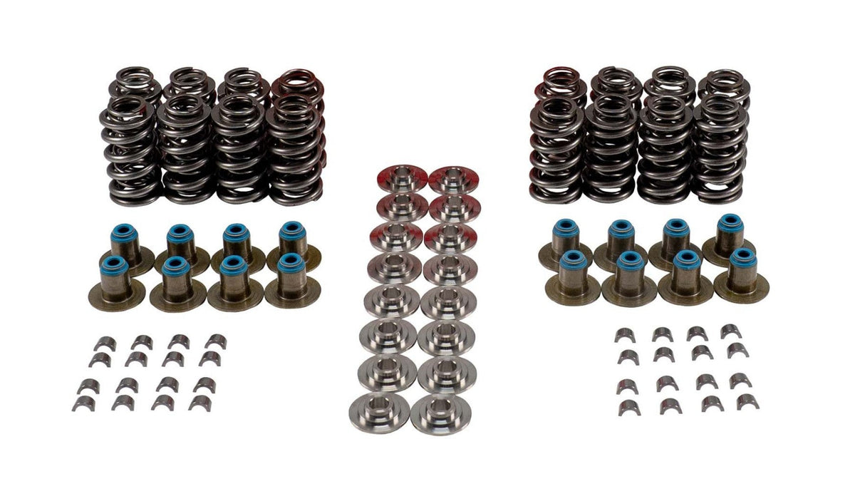 Valve Spring Kit - VSK46656T
