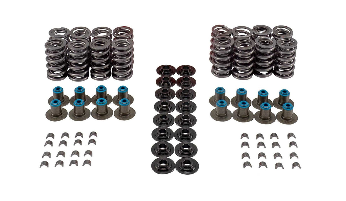 Valve Spring Kit - VSK46659