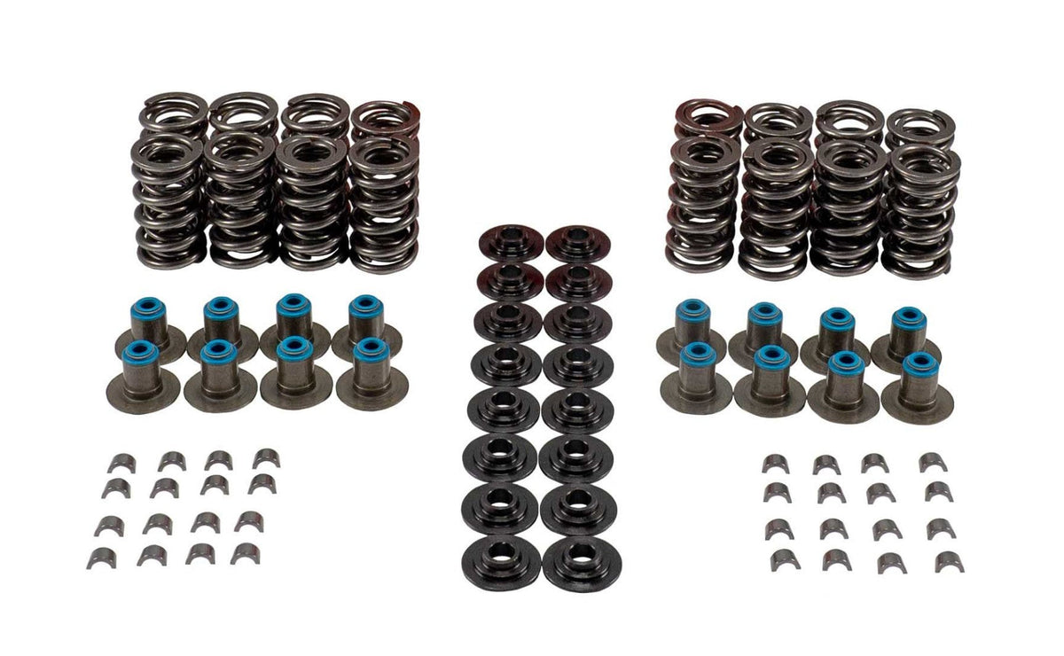 Valve Spring Kit - VSK46673